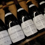 bourgogne-meo camuzet